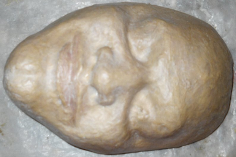 Face Form for Mask Making